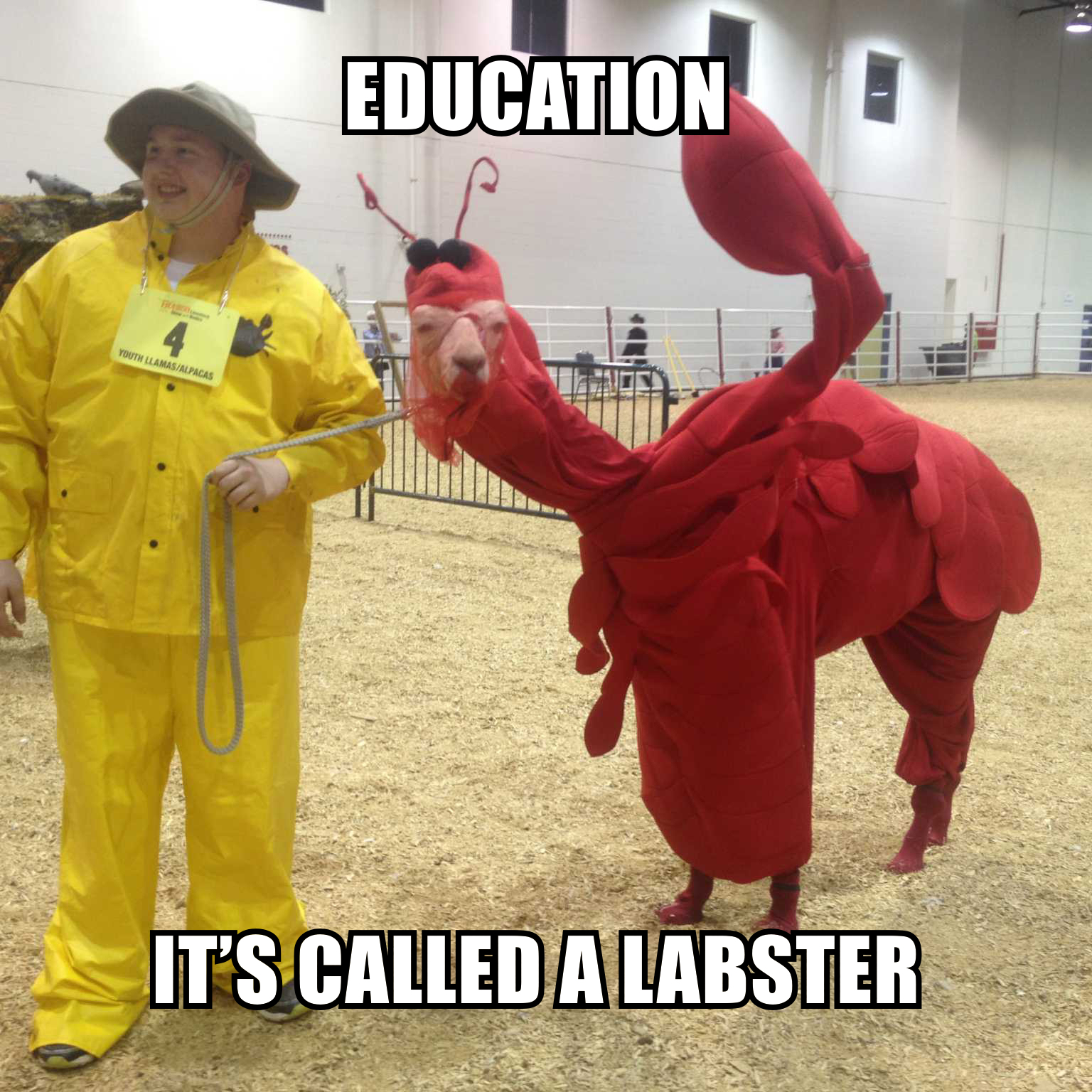 Education