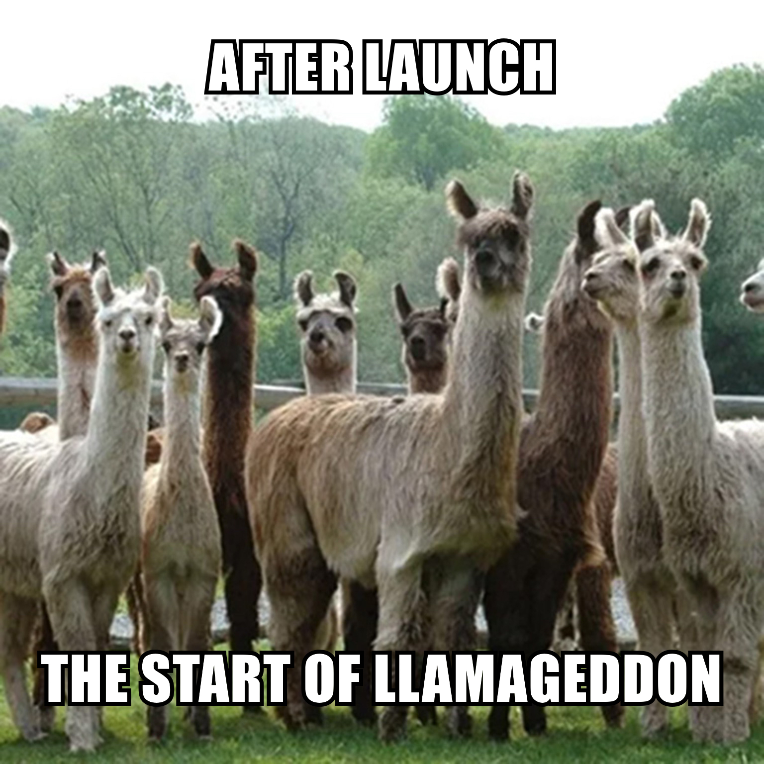 LLAMAGEDDON